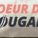 avis site coeur de cougar